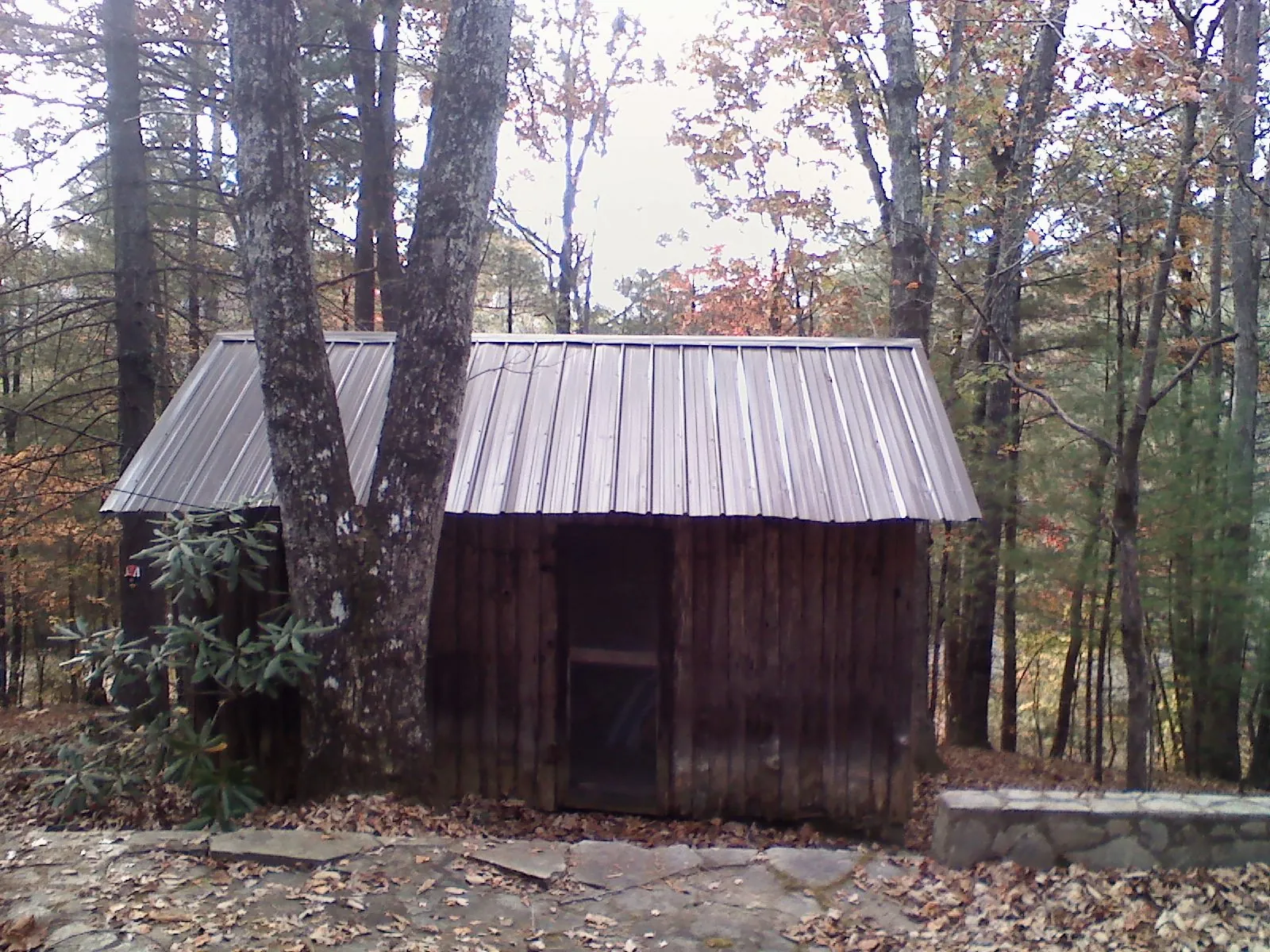 New metal gable roof on a small log shed among the trees in Buchanan