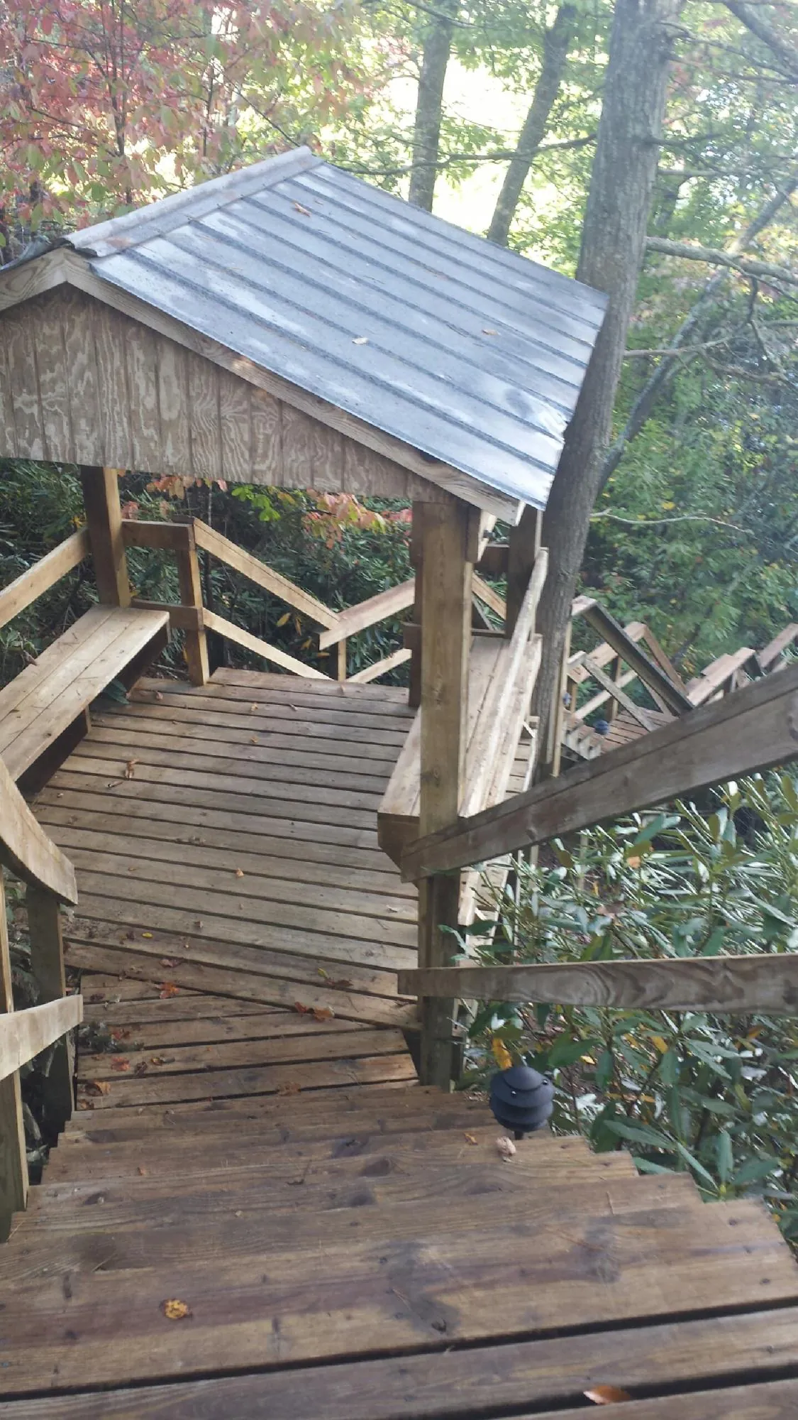 Metal roofed shelter over wooden steps on a wooded walkway — Skylight Repair & Installation work by our crew in Buchanan